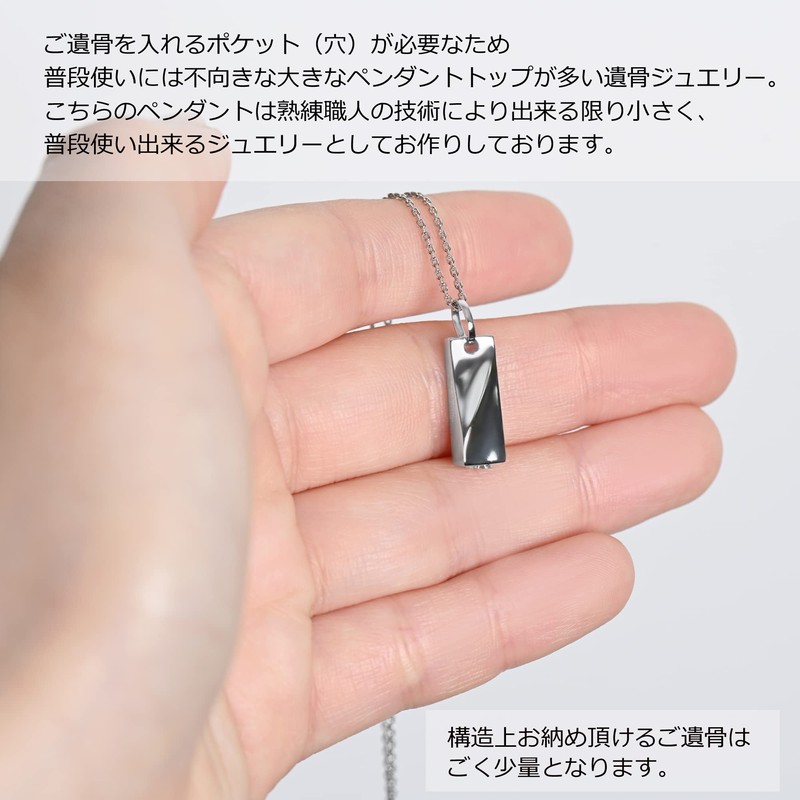 Alles SV925 Silver Cremation Pendant & 2 Stainless Steel Chains,