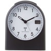 Funkwecker TFA 98.1040.01 ohne Ticken