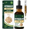 Verdeherb Astragalus Herbal Supplement, Unlock Your Health Potential with Our
