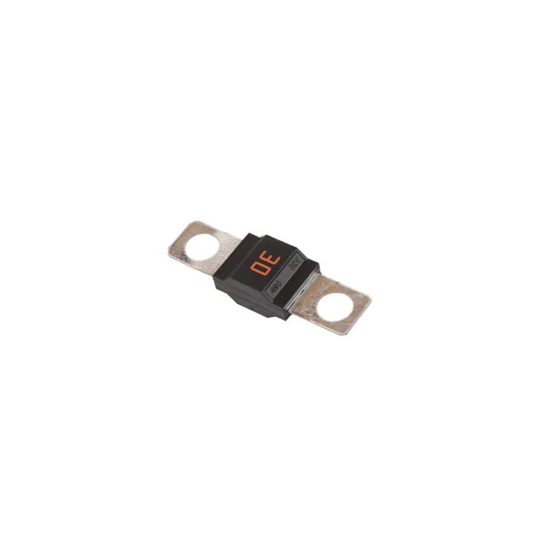 GM Genuine Parts 84070928 30 AMP Fuse