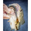 Berkley PowerBait Anzuelo de Pesca para Agua Dulce, Todos los