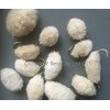 BestCity Fly Fishing White Barbless Bread flies mixed sizes pack