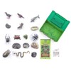 Carolata Yanbaru Biological Box (3D Picture Book), Birds, Insects, Reptiles,
