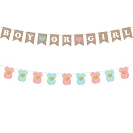 Boy or Girl Gender Reveal Banner 2 PCS Pre-Strung Baby Shower Paper He or She Baby Gender Sign for Party Decorations