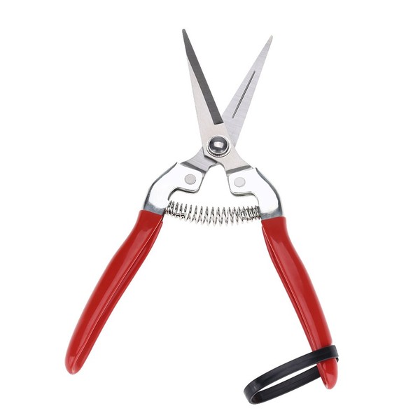 Garden Shears, Harvesting Shears, Pruning Shears, Cutting Tool, Stainless Steel