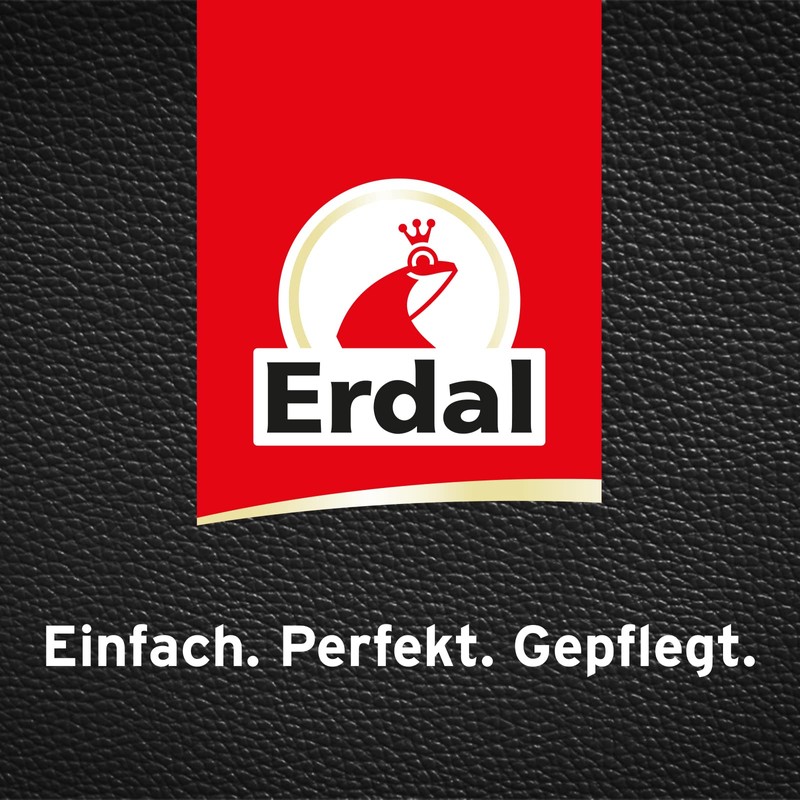 Erdal Express 1-2-3 Schnellglanz schwarz