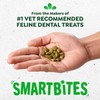 Greenies Feline Smartbites, Cat Treats Healthy Recipe, Indoor Cat Treats,