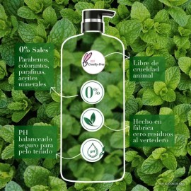 Kit Acondicionador Y Shampoo Té Verde y Menta 1200ml Herbal Essences                                                                                  