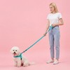 Didog Soft Flannel Padded Dog Vest Harness,Escape Proof/Quick Fit Reflective