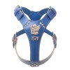M&D Beautiful Blue Leather Dog Harness Large with Staffy Staffordshire