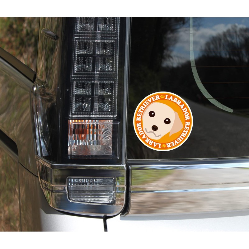 Stare Labrador Retriever Yellow Dog Sticker Orange Back Round Large