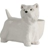 Quail Ceramics - Westie with Egg Cup
