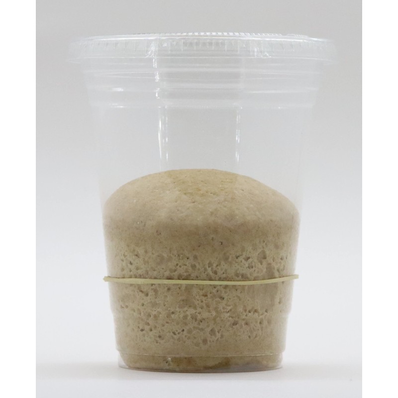 Bakerdale Dehydrated Organic Whole Wheat Sourdough Starter Culture