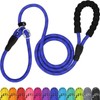 TagME Slip Leads for Dogs, 6 FT Heavy Duty Dog