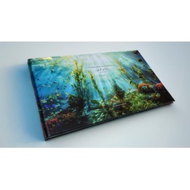 99 Names of Allah | I Found You In Everything - Volume 2 | Hardcover (16.1” x 9.1”) – Islamic Book for Families with Quranic Verses, Poetry, and Art