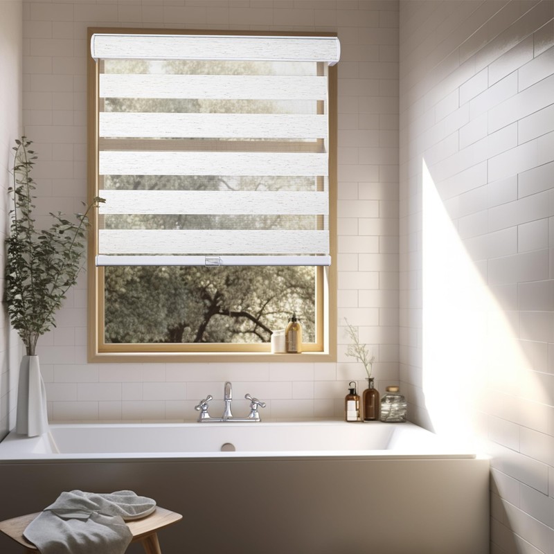 CHICOLOGY Zebra Blinds, Roller Window Shades, Blinds for Windows, Roller