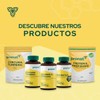Kit 2 Piezas Suplemento Jengibre Cúrcuma (60 Caps) Pronat