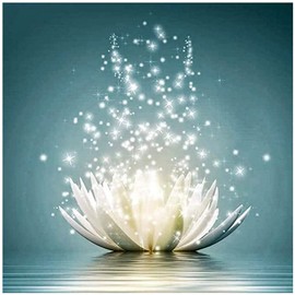 5d Diamond Art Lotus 5D Diamond Painting Mosaic Art Diamond Painting Kit Bead Painting All Over Type Bead Art Mosaic Beads Decoration DIY Arts Crafts Kit (11.8 x 11.8 inches (30 x 30 cm)