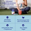 Blueshift Blueshift Electrolytes - Natural Electrolytes Powder Packets, Organic Hydration