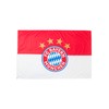 FC Bayern Munich Logo Hissfahne 180 x 120 CM
