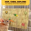 SunGrow Rabbit, Leopard Gecko & Guinea Pig Grass Chew Mat,