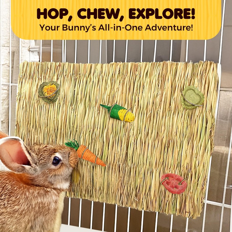 SunGrow Rabbit, Leopard Gecko & Guinea Pig Grass Chew Mat,