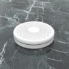 Tuya WiFi 2 In 1 Intelligent Smokes Carbon Monoxide Detector