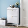 Brafab Shoe Storage Cabinet with 2 Flip Drawers&1 Small Drawer,