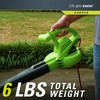Greenworks 7 Amp 160 MPH/150 CFM Single Speed Electric Blower,