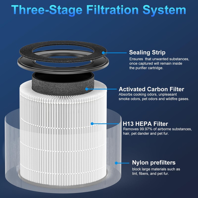 Tailulu 2 Pack D10 Replacement Filter, Air Purifier Filter for
