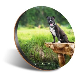 1 x Round Jumbo Size Coaster 12cm Happy Staffordshire Bull Terrier Dog Staffy Cork Backed MDF Glossy Tea Coffee Accessory #51137