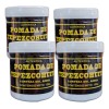 Pomada De Tepezcohuite Poder Antioxidante Y Regenerativo 4pz