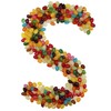 Smarty Stop Jelly Beans Every Flavor Candy (2 Pound (Pack