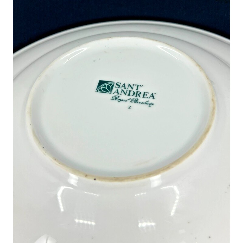 Sant'Andrea Royal Porcelain 12 inch Pasta Plate - (New)