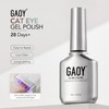 Brown Cat Eye Gel Nail Polish, 4629 Amber Blue, 16ml