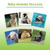 Wonder Forge Baby Animals Matching Game - Engaging Memory Booster