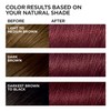 L'Oreal Paris Feria Multi-Faceted Shimmering Permanent Hair Color, 41 Crushed