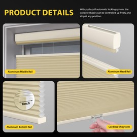 UNISHADES Top Down Bottom Up (TDBU) Cellular Shades Cordless Honeycomb Blinds for Indoor Windows, for Windows Size (28" W × 64" H) Colour (Beige - Light Filtering)