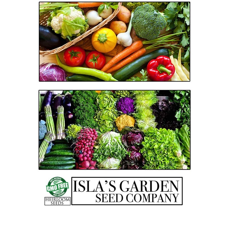 Green Globe Artichoke Seeds, 50 Heirloom Seeds Per Packet, Non