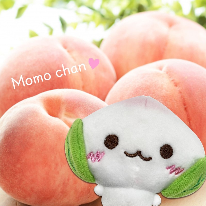 LamPlanning Squishy Mascot, Ball Chain, Fluffy, Chubby Fruit, Bag Charm,