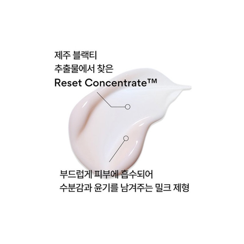 Innisfree 이니스프리 블랙티 유스 인핸싱 로션 170mL Innisfree Black Tea