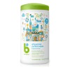Babyganics Toallitas Multiusos Para Superficies 75 Pzas