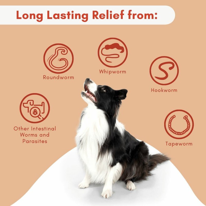 BestLife4Pets Broad Spectrum De-wormer for All Dogs