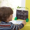 Educational Insights Sprout & Grow Window Plant Growing Kit, Science