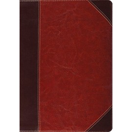 ESV Study Bible (TruTone, Brown/Cordovan, Portfolio Design)