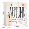 Funny Autumn Maple Leaves Wood Box Sign Autumn is Gods