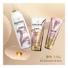 Shampoo Pantene Pro-V Miracles Colágeno Nutre Revitaliza Nutritivo 300 ml