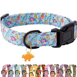 Faygarsle Dog Collar for Small Medium Large Dogs Cute Blue Puppy Collars for Male Dogs Dinosaur Patterned Pet Collars for Summer Spring Wedding Puppy Necklace Boy Dog Collar L