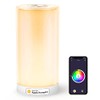 meross WiFi Lamp, Smart Lamp Bedside, Support Apple HomeKit Alexa Google Assistant SmartThings, RGBWW Touch Lamp Dimmable Multicolour Voice Remote App Control (2.4GHz Only)
