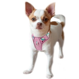 pangdi No Pull Small Dog Harness, Easy Walk with Handle, Reflective Adjustable Puppy Harness, Soft Padded Arnes Perro, No Choke Pet Harness for Walking and Training, Pink, XXS